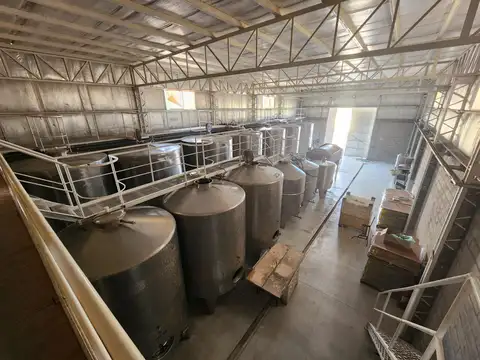 Bodega y finca en venta