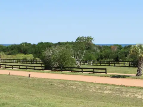 Terreno en venta en Las Garzas.