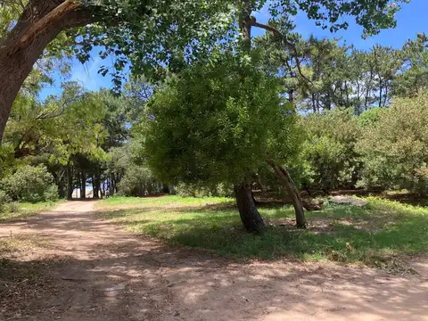 Terreno en Venta 44  mts Frente