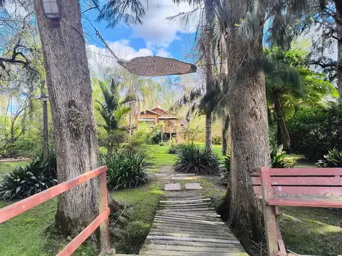 Rio o Arroyo Antequera Los Robles 100