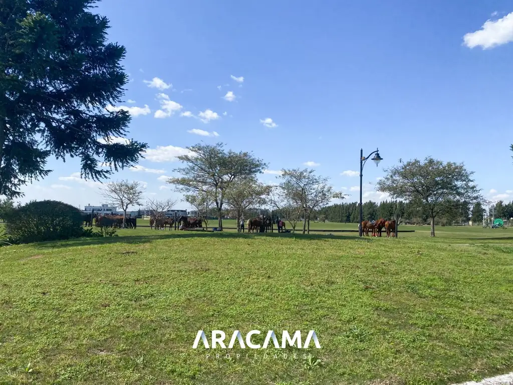 LOTE en VENTA La Providencia - Canning - Foto 23
