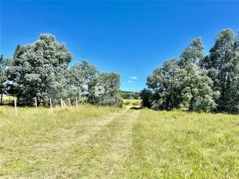 Campo en Venta de 5  ha