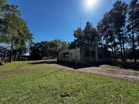 VENTA LOTE HECTAREA A 7000 USD EN MARCOS PAZ 