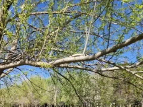 Venta de Lote, Harás del sur II