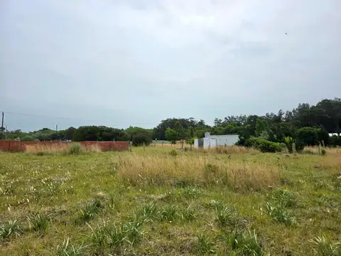 Terreno en Venta 20  mts Fondo