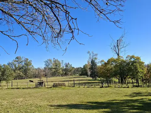 Casa con 3 dormitorios en alquiler por 1 año en Condominio Rural a 14 km. de Capilla del Señor