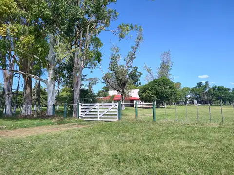 31,5 has en venta en Villaguay ER Ideal desarrollo inmobiliario