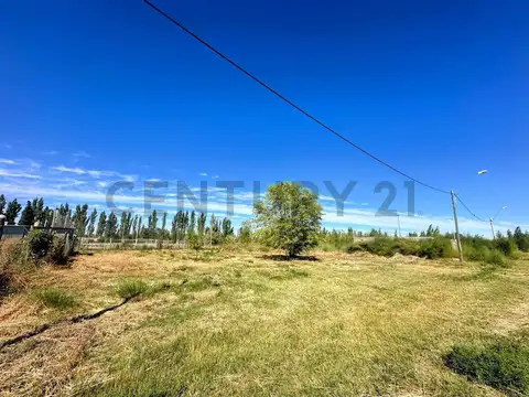 Puerte Rico 2300, Piso 0