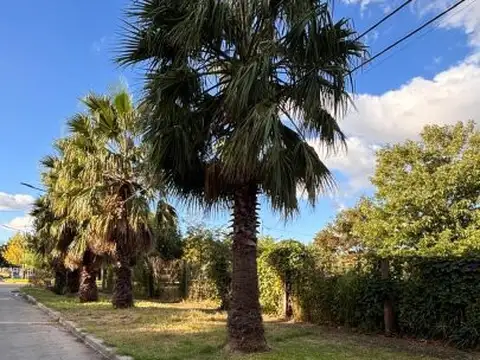 Terreno en Venta 9  mts Frente