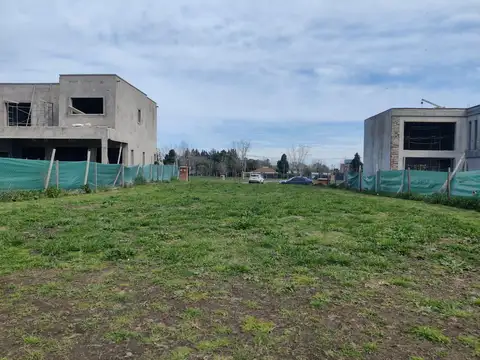 Santa Elisa Pilar del Este