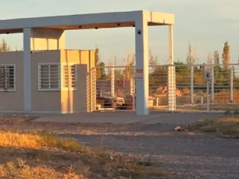 Terreno en Venta en Pocito, USD 15.000