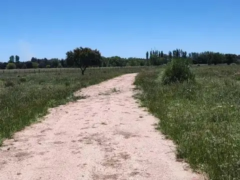 Terreno en venta - 30.000Mts2 - Estancia Benqueria, Monte