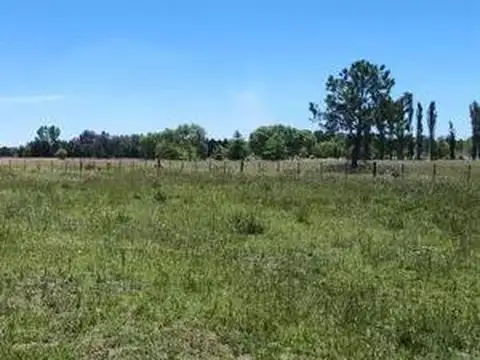 Terreno en Venta de 30000,0 m2