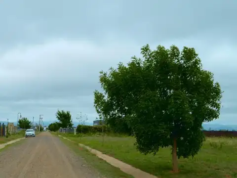 Terreno en Venta en La Pampeana, USD 33.000