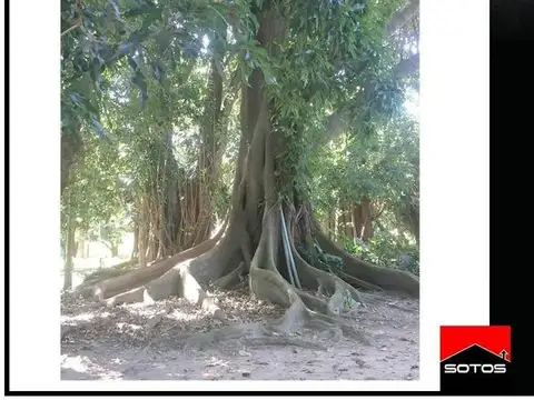 Inmueble apto para emprendimiento San Cosme