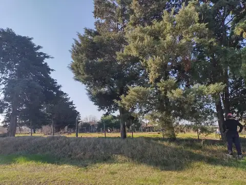 Terreno en Venta de 1000,0 m2