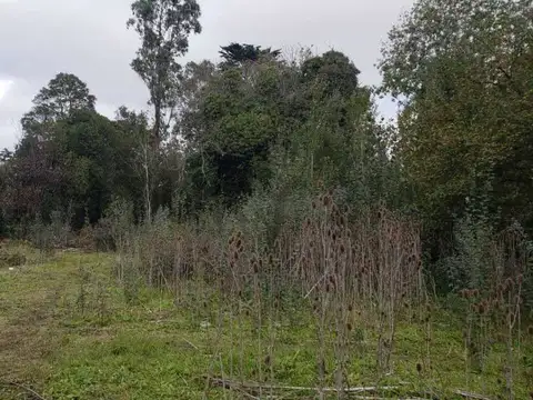 Eduardo Arolas 10500