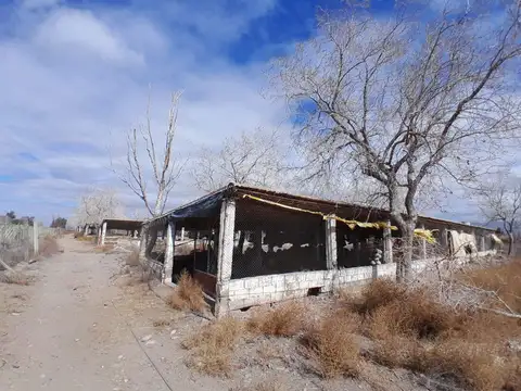 Corredor