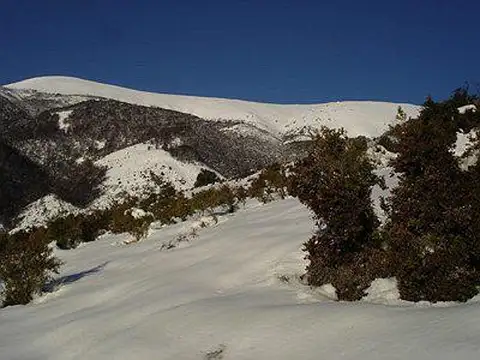 Ruta Nacional 40