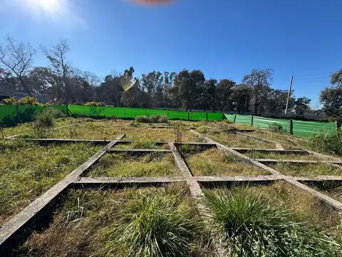 Casuarinas del Pilar 100