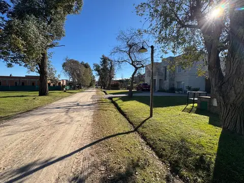 Casuarinas del Pilar 100