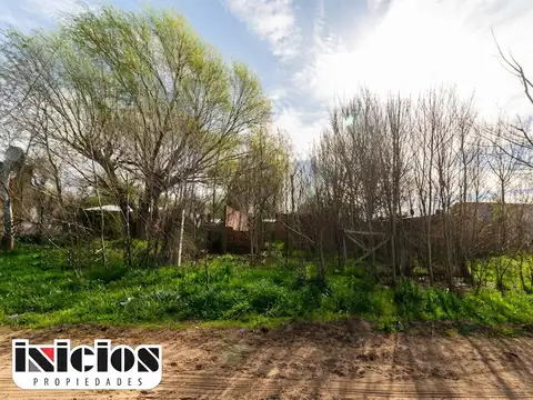 El Chaja entre  Moreno y Los Pinos 100