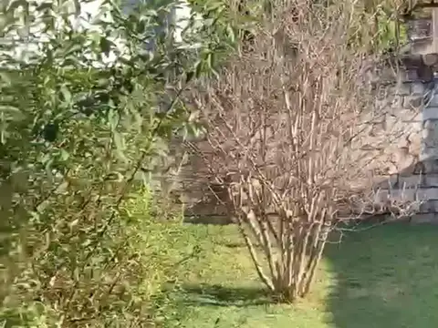 Casa en VENTA - ARTIGAS AL 300