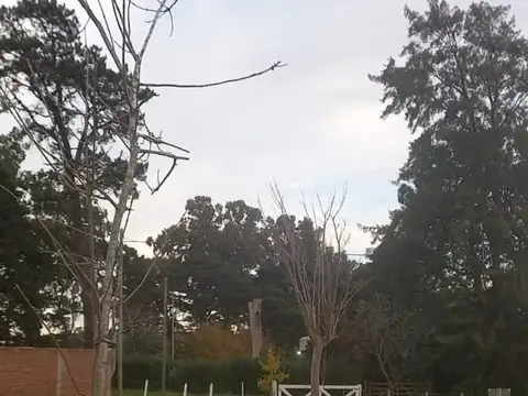 Terreno en Venta en Mar del Plata, Partido de General Pueyrredón