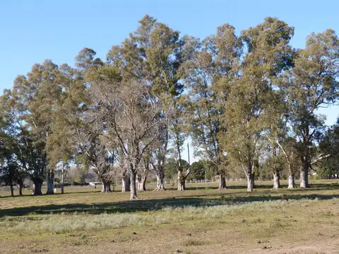 Terreno en Venta de 1528,0 m2