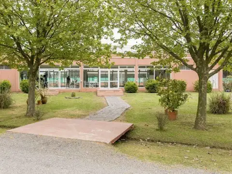 Haras del Sol