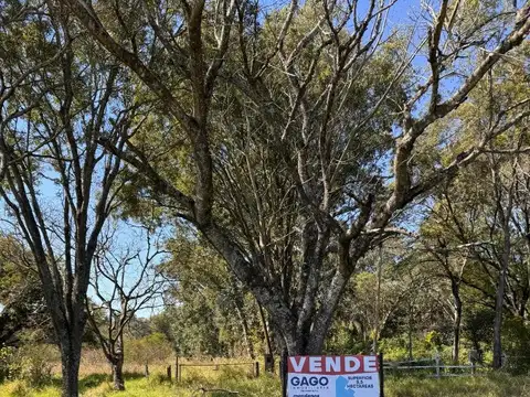 9 HECTAREAS SOBRE RUTA - Ruta 11 km 1023