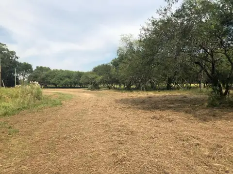 9 HECTAREAS SOBRE RUTA - Ruta 11 km 1023