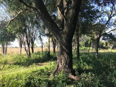 9 HECTAREAS SOBRE RUTA - Ruta 11 km 1023