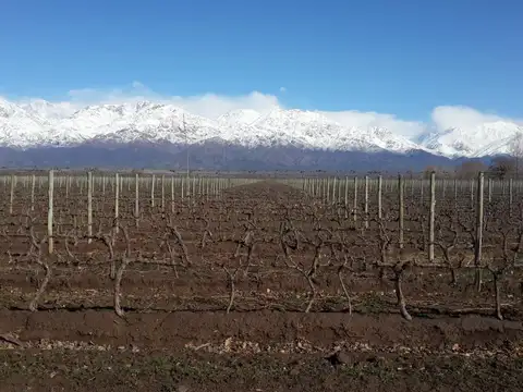 CLODOMIRO SILVA S/N - V. FLORES TUNUYAN