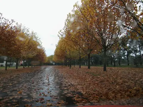 El Nacional Club de Campo 100