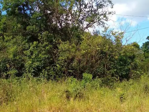 Terreno en Venta en Aristobulo del Valle, USD 8.500