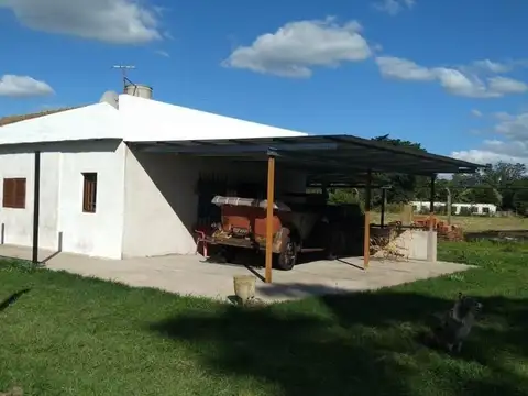Campo en Venta Frutícola