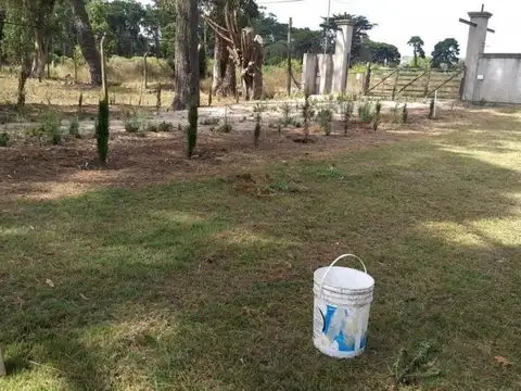 Campo en Venta Frutícola