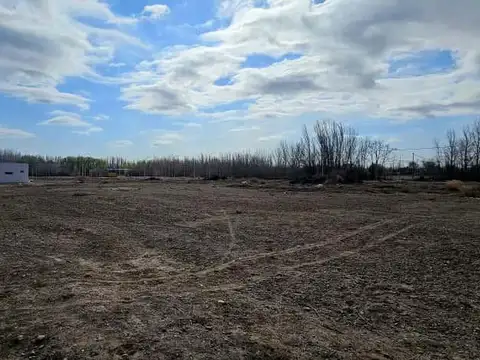 Terreno en Venta 12  mts Frente