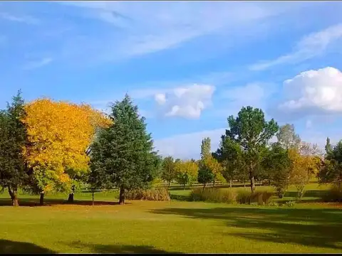 Terreno en Venta de 300,0 m2