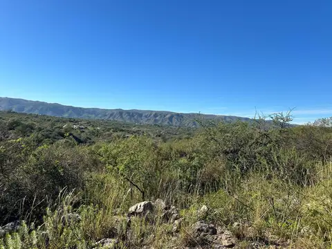 Tierras del Sauce 100