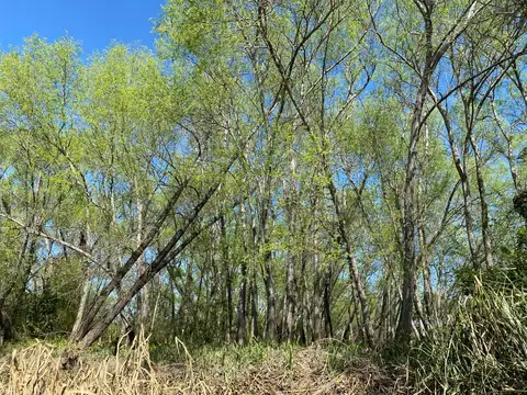 Terreno en Venta en Tigre Centro, USD 9.000