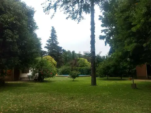 461c  entre 13c y 14