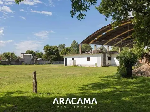 Jacaranda 200