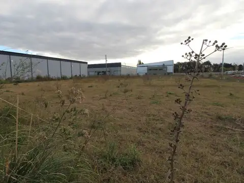 VENTA LOTE PARQUE INDUSTRIAL MORENO 1
