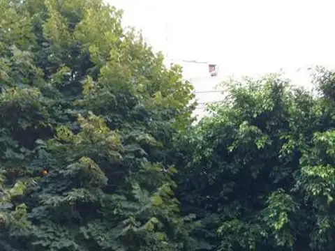 Diagonal Stephenson 2700