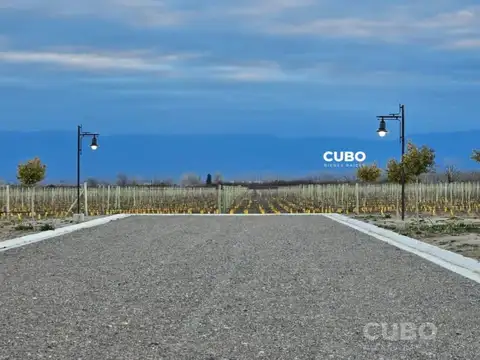 Terreno en Venta en Tupungato, USD 30.000