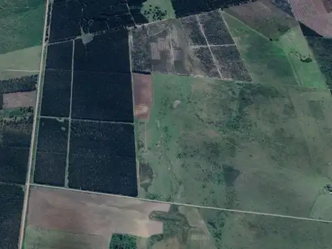 Campo en Los Charruas