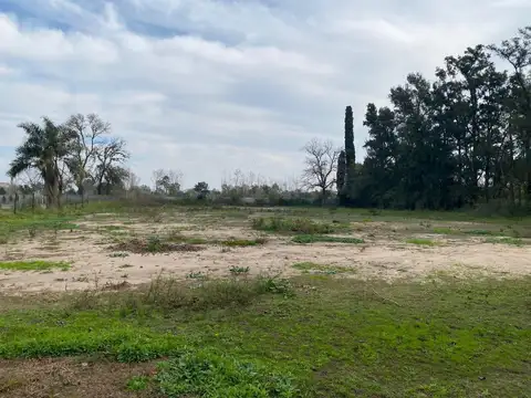 Terreno en Venta 175  mts Fondo