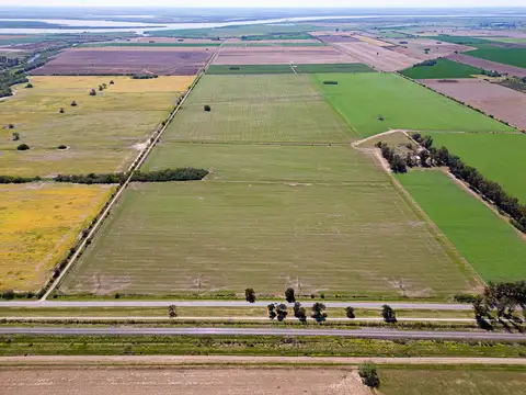 Campo en  Pavón, Santa fe. 